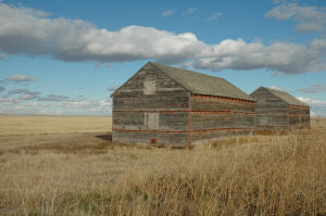 Prairie Barns